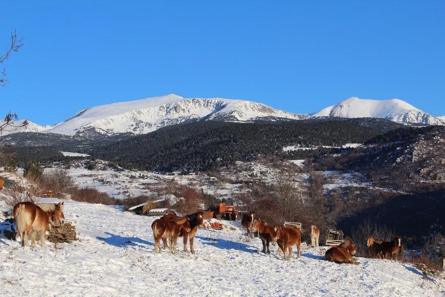 Hostel Refugi Cap Del Rec Lles De Cerdanya Zewnętrze zdjęcie
